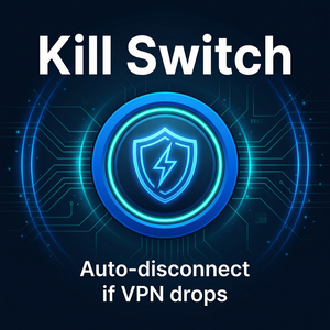 Quick VPN的网络中立性立场 - Quick VPN官网